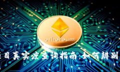 t p钱包项目真实度查询指