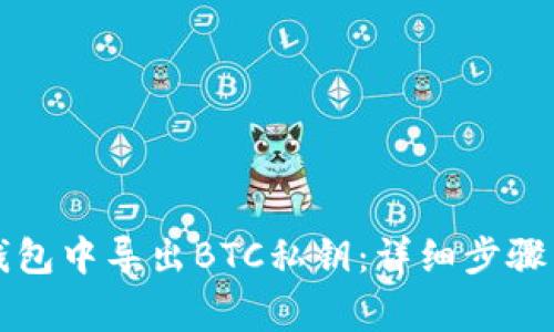 如何在TP钱包中导出BTC私钥：详细步骤与注意事项