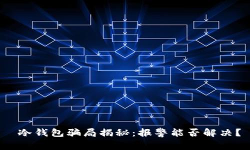  冷钱包骗局揭秘：报警能否解决？