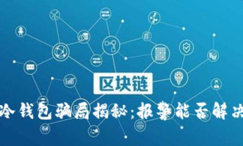  冷钱包骗局揭秘：报警能否解决？