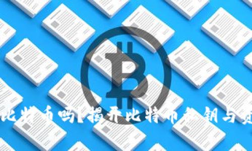 有私钥能找到比特币吗？揭开比特币私钥与资产恢复的真相