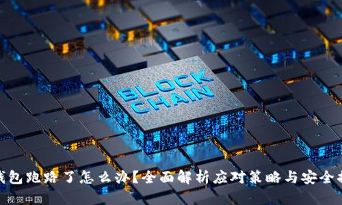 TP钱包跑路了怎么办？全面解析应对策略与安全措施