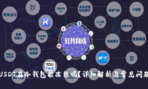 USDT在冷钱包能冻结吗？详细解析与常见问题