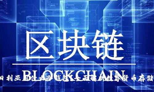  尼日利亚用什么冷钱包？全面解析数字货币存储方案