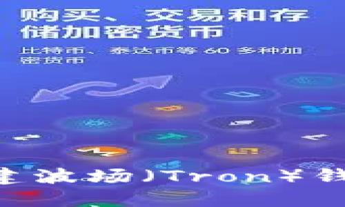 如何在TP钱包中创建波场（Tron）钱包：详细步骤与指南