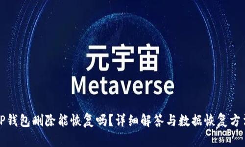 TP钱包删除能恢复吗？详细解答与数据恢复方法