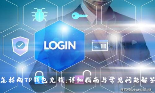 怎样向TP钱包充钱：详细指南与常见问题解答