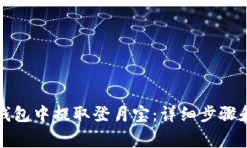 如何在TP钱包中提取登月宝：详细步骤和注意事项