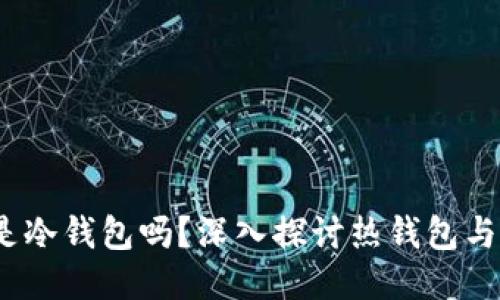Metamask 是冷钱包吗？深入探讨热钱包与冷钱包的区别