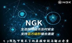t p钱包下载不了的原因分