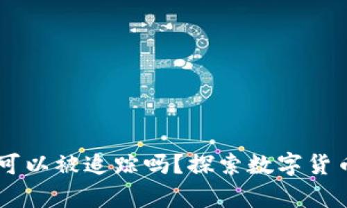 : USDT放入冷钱包可以被追踪吗？探索数字货币存储的安全与隐私