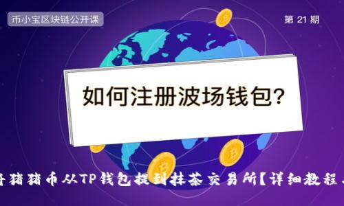 如何将猪猪币从TP钱包提到抹茶交易所？详细教程与技巧