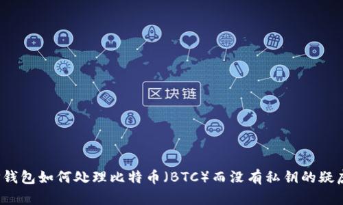 TP钱包如何处理比特币（BTC）而没有私钥的疑虑？