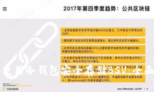 如何使用冷钱包安全存储BSV：全面指南