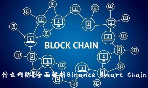 虚拟币BSC是什么网络？全面解析Binance Smart Chain的特点与应用