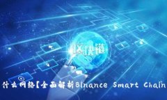 虚拟币BSC是什么网络？全