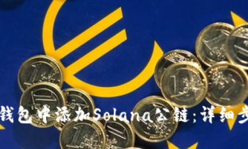 如何在TP钱包中添加Solana公链：详细步骤与指南