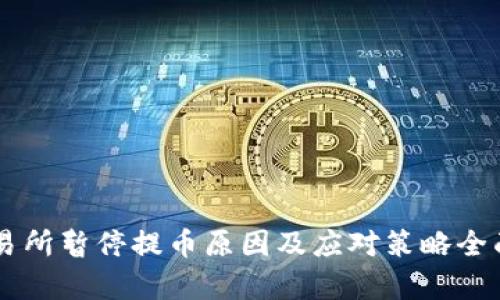 OK交易所暂停提币原因及应对策略全面解析