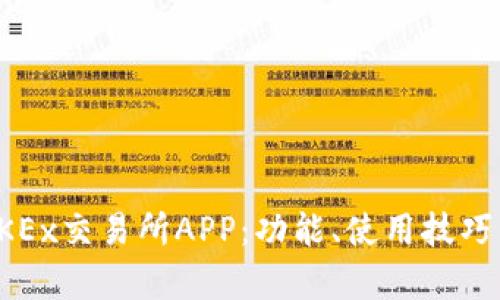 全面解析OKEx交易所APP：功能、使用技巧与安全保障