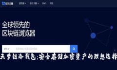 天梦链冷钱包：安全存储