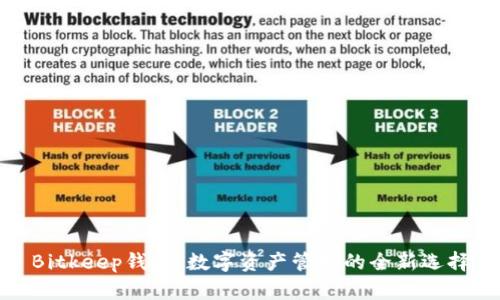 Bitkeep钱包：数字资产管理的全新选择