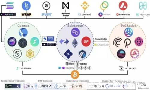 
T P钱包TRX地址的查找与使用指南