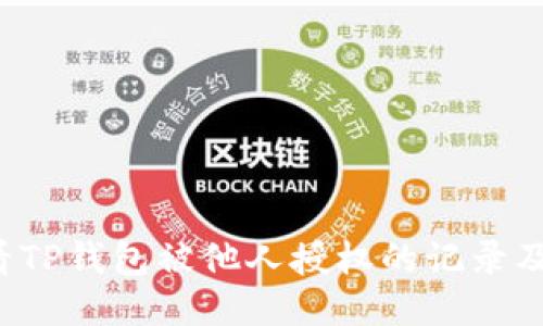  如何查看TP钱包被他人授权的记录及管理指南