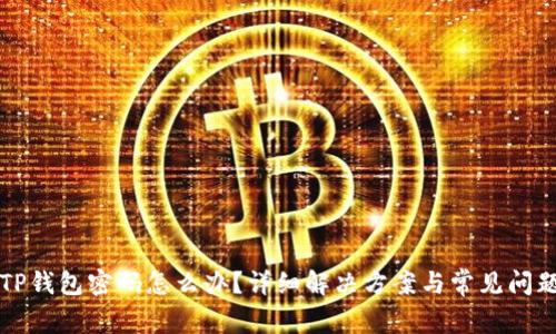 忘记TP钱包密码怎么办？详细解决方案与常见问题解答