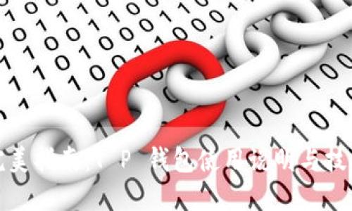 完美指南：T P 钱包使用说明与技巧