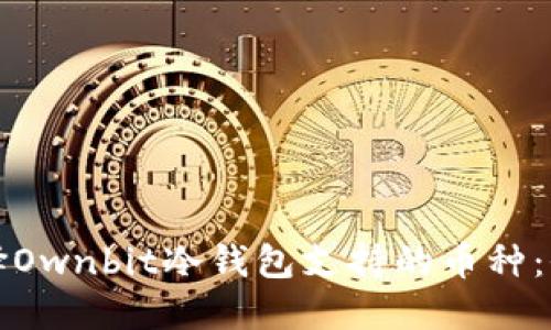 如何选择Ownbit冷钱包支持的币种：全面指南