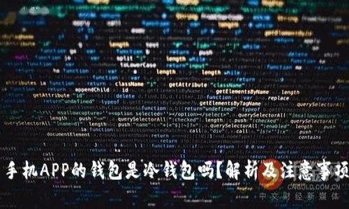手机APP的钱包是冷钱包吗？解析及注意事项