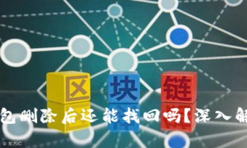 热钱包和冷钱包删除后还能找回吗？深入解析及解决方案