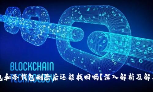 热钱包和冷钱包删除后还能找回吗？深入解析及解决方案