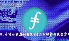 FIL币可以放在冷钱包吗？