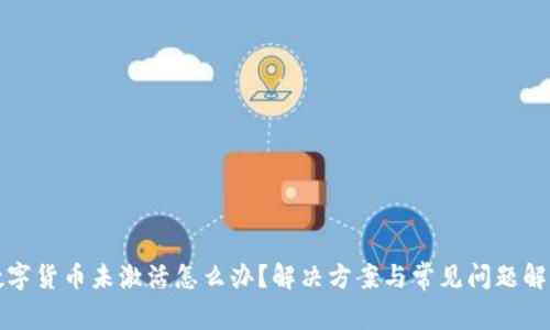 数字货币未激活怎么办？解决方案与常见问题解析