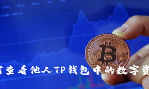 如何查看他人TP钱包中的数字资产？