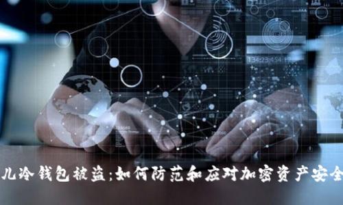 比特儿冷钱包被盗：如何防范和应对加密资产安全问题