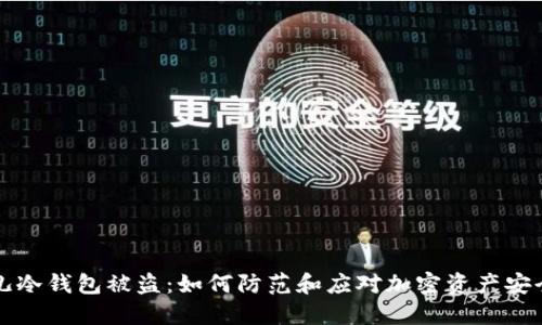 比特儿冷钱包被盗：如何防范和应对加密资产安全问题