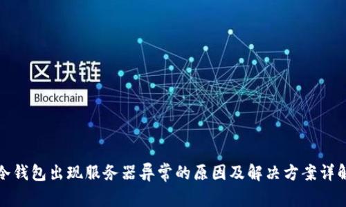 冷钱包出现服务器异常的原因及解决方案详解