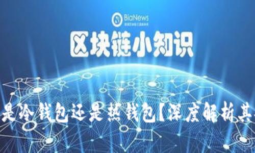imToken钱包究竟是冷钱包还是热钱包？深度解析其安全性与使用场景