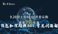 TP钱包如何处理BSV：常见问
