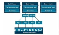 TP钱包中的公链解析：什么
