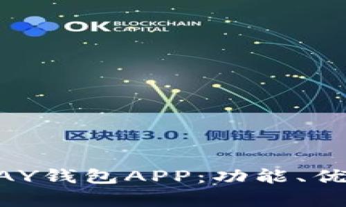 全面解析CGPAY钱包APP：功能、优势与使用指南