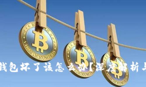 比特币冷钱包坏了该怎么办？深度解析与修复指南