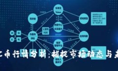 今日BTC币行情分析：捕捉
