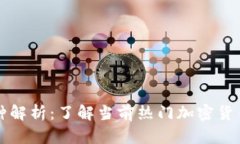 币圈十大币种解析：了解