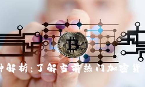 币圈十大币种解析：了解当前热门加密货币的投资机会