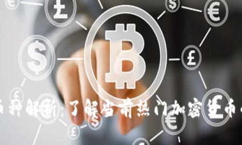 币圈十大币种解析：了解当前热门加密货币的投资机会