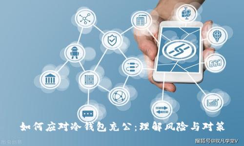 如何应对冷钱包充公：理解风险与对策