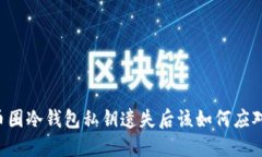 币圈冷钱包私钥遗失后该
